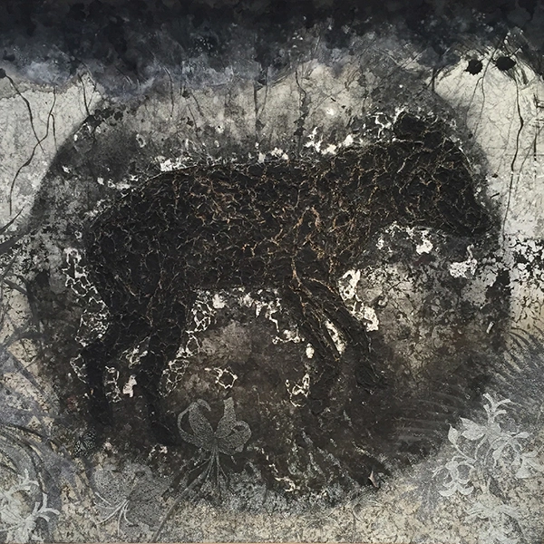 Dog's abobe 2015