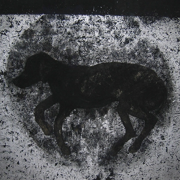 Dog's abobe 2009
